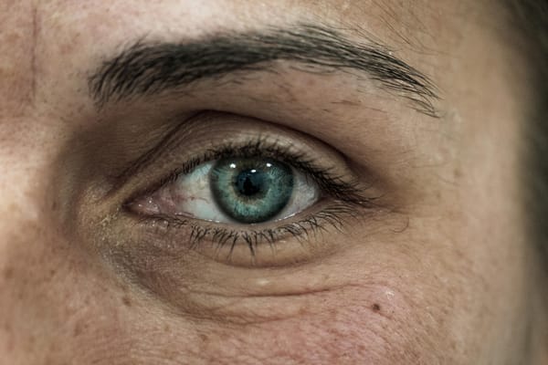 Пиявици и рози