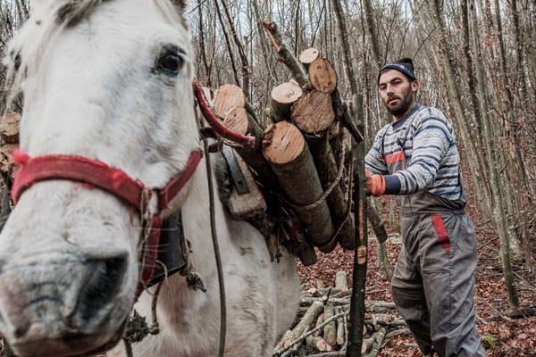 Новопланински легенди: Балканджии